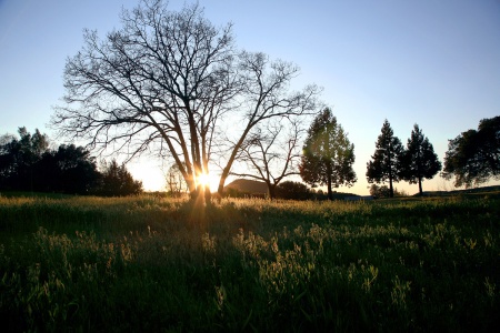 Twin Brook Farm
Napa, California