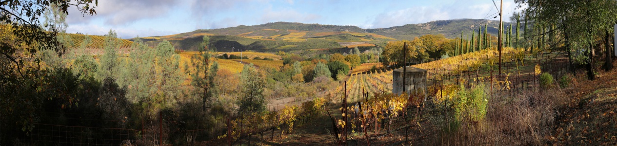 Rector Plateau
Napa County, California