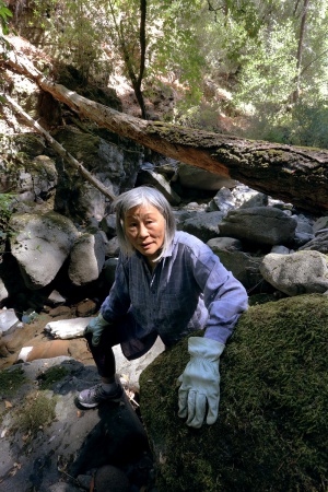 Mui
Rector Canyon
Napa, California