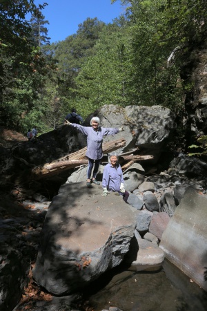 Mui, Marion
Rector Cnayon
Napa, California