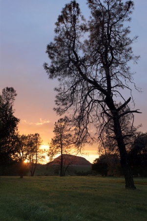 Haystack Mountain
Twin Brook Farm
Napa, California