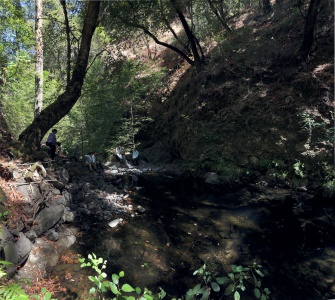 Rector Canyon
Napa, California