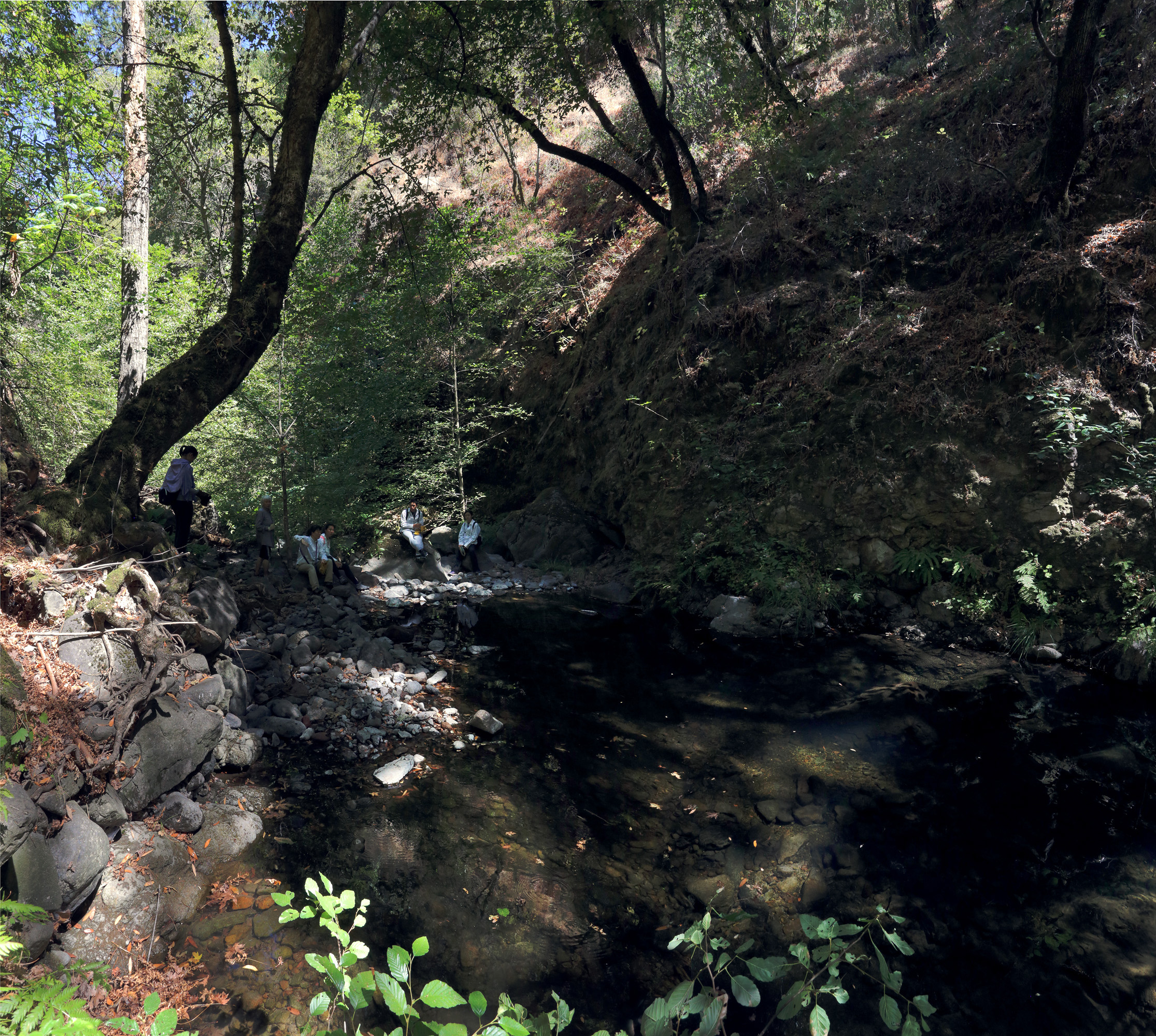 bill-hocker-rector-canyon-napa-california-2016