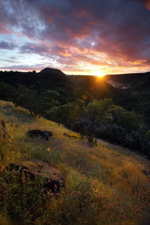 Rector Canyon, Haystack Mountain
Napa, California