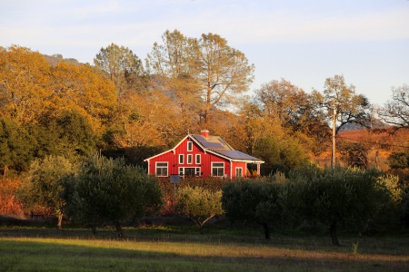 Neighbor's office, Twin Brook Farm
Napa, California