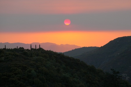 Rector Canyon
Napa, California