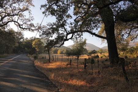 Soda Canyon Road
Napa, California