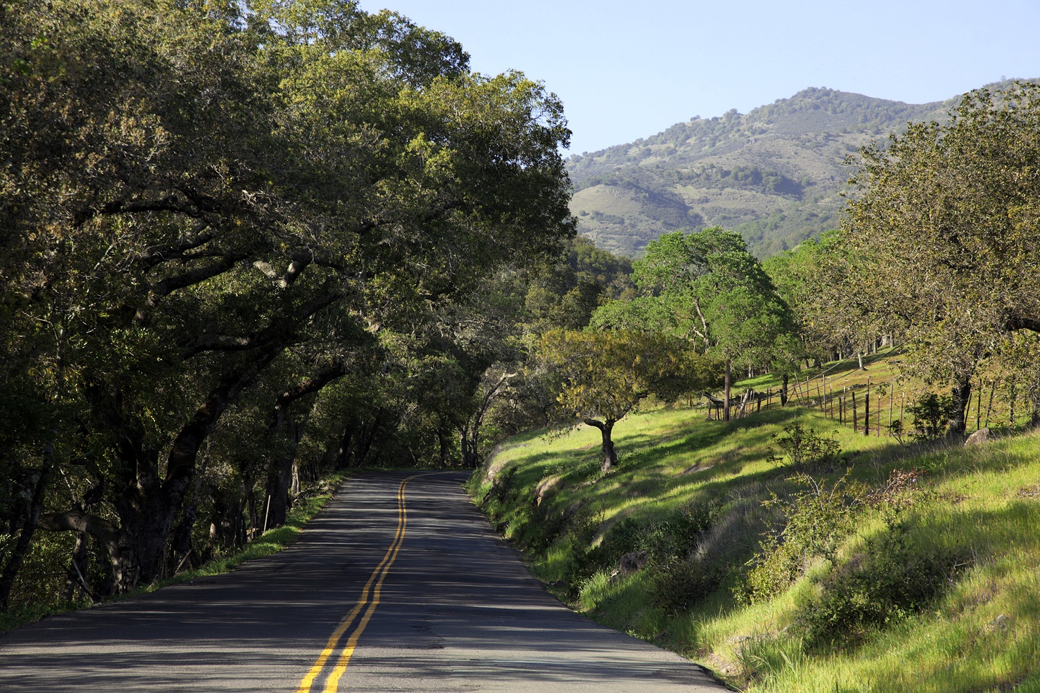 bill-hocker-soda-canyon-road-napa-california-2014