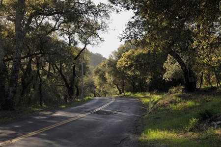 Soda Canyon Road
Napa, California