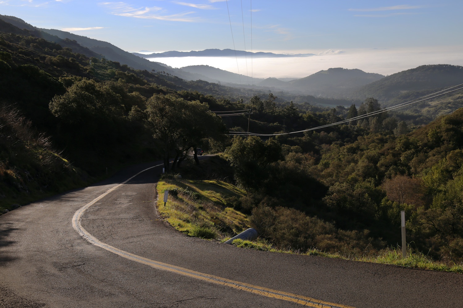 bill-hocker-soda-canyon-road-napa-california-2015