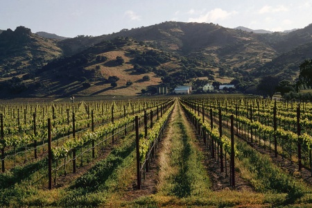 Eastern HillsNapa Valley, California