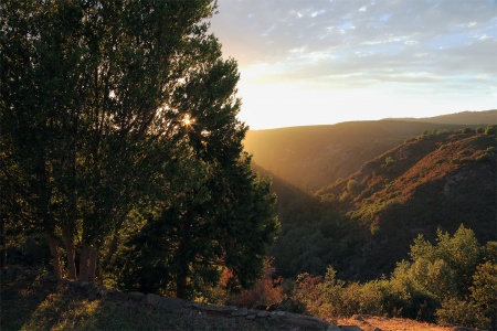 Rector Canyon
Napa, California