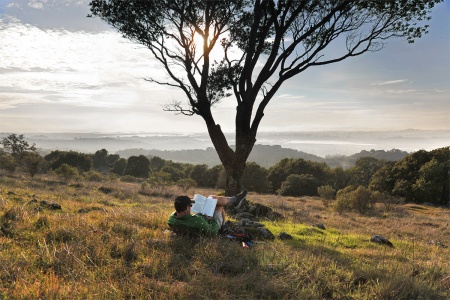 From Skyline Park
Napa, California