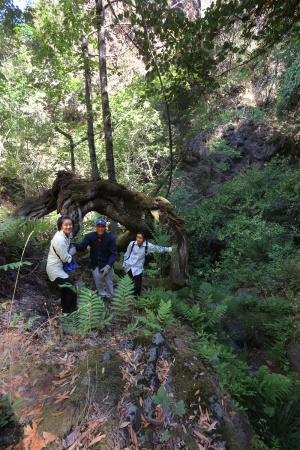 Recto Canyon
Napa, California