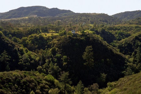Twin Brook Farm
Rector Canyon
Napa County, California