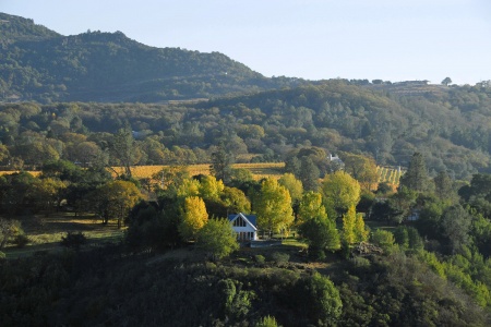 Twin Brook Farm
Napa, California