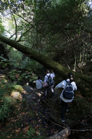 Rector Canyon
Napa, California
