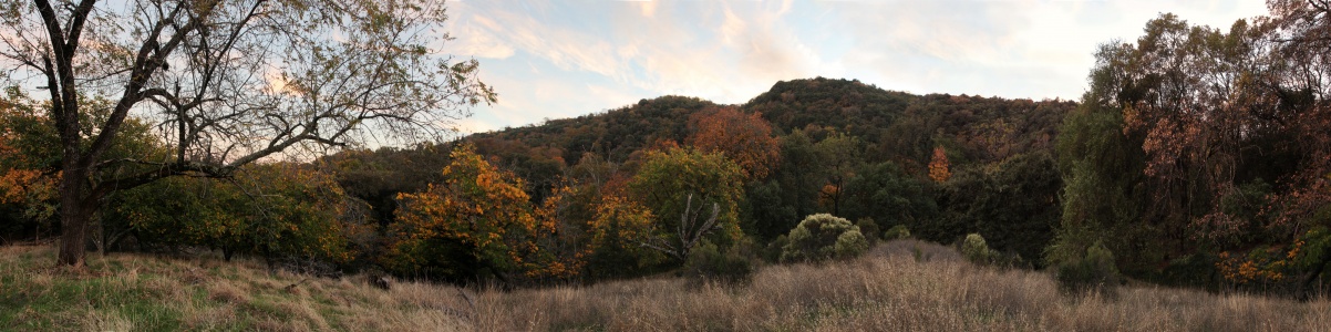 Circle Oaks
Napa, California