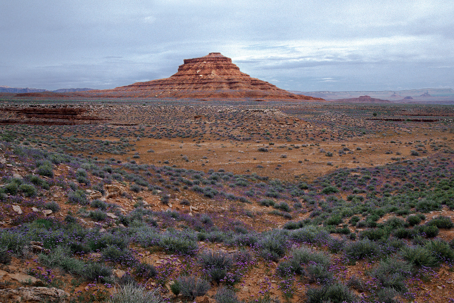 bill-hocker-?-butte-valley-of-the-gods-utah-2003