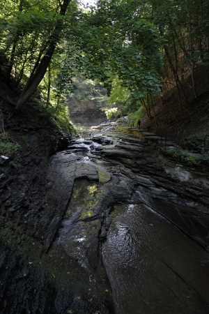 Cascadilla Gorge
Ithaca, New York