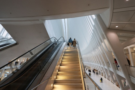 Oculus
New York, New York