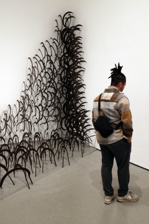 Shambhavi
MOMA
New York, New York