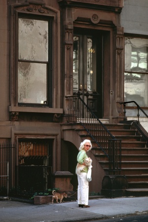 BrownstoneNew York, New York