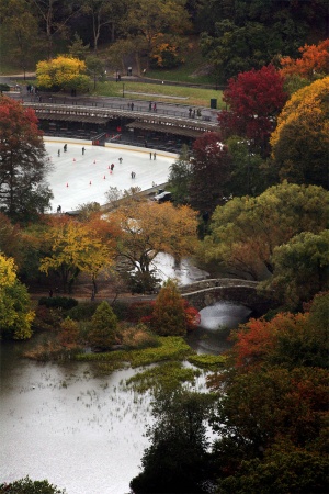 The Pond and Icerink, Central ParkNew York, New York