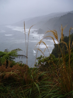 South Island Coast
New Zealand