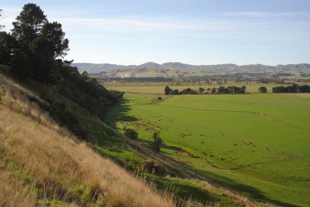 Sheep Staton
near Wellington, New Zealand
