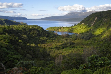 Lake TaraweraNew Zealand