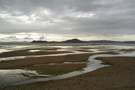 Whiritoa BeachCoromandel Penninsula, New Zealand