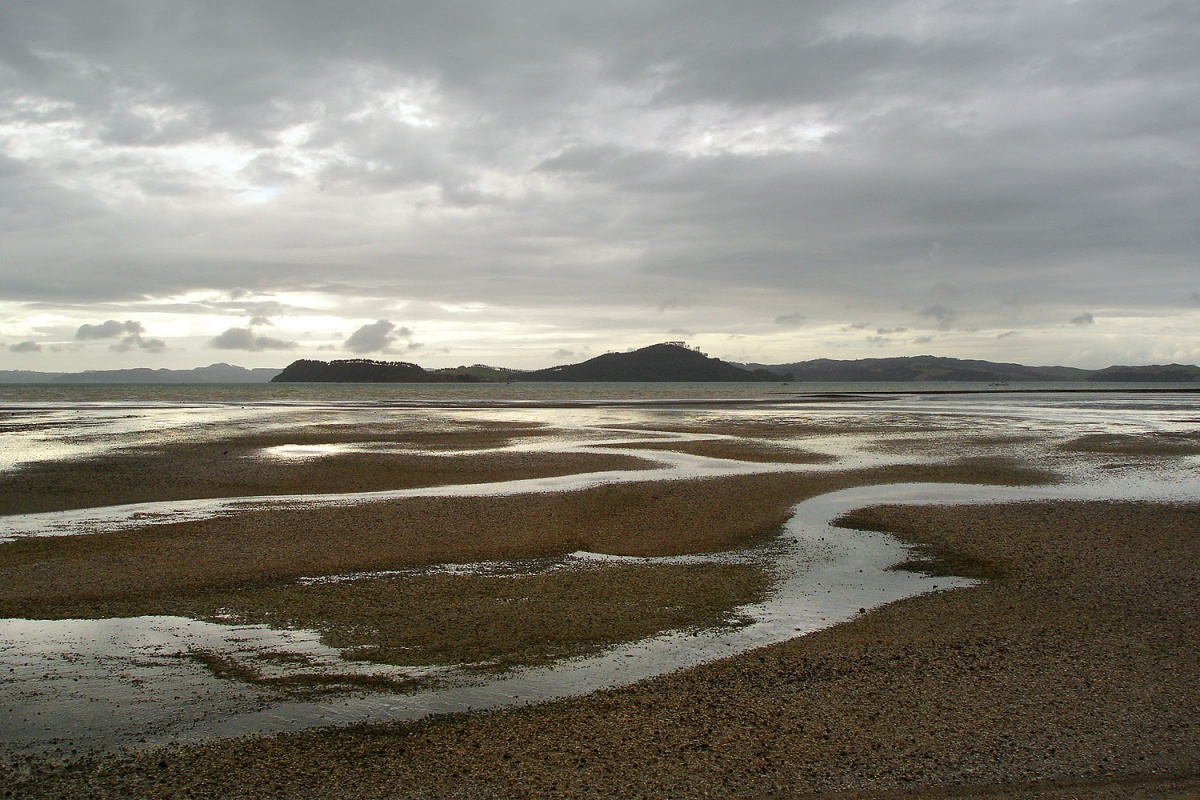 bill-hocker-whiritoa-beach-coromandel-penninsula--new-zealand-2006