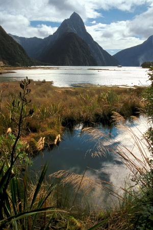 Milford Sound AgainNew Zealand
