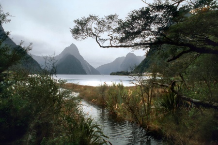 Milford Sound
New Zealand