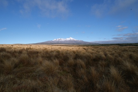 Mt. TongariroNew Zealand