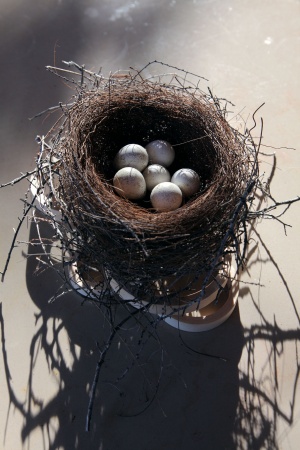 Bird Nest with Quail Eggs
Napa, California