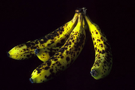 Bananas