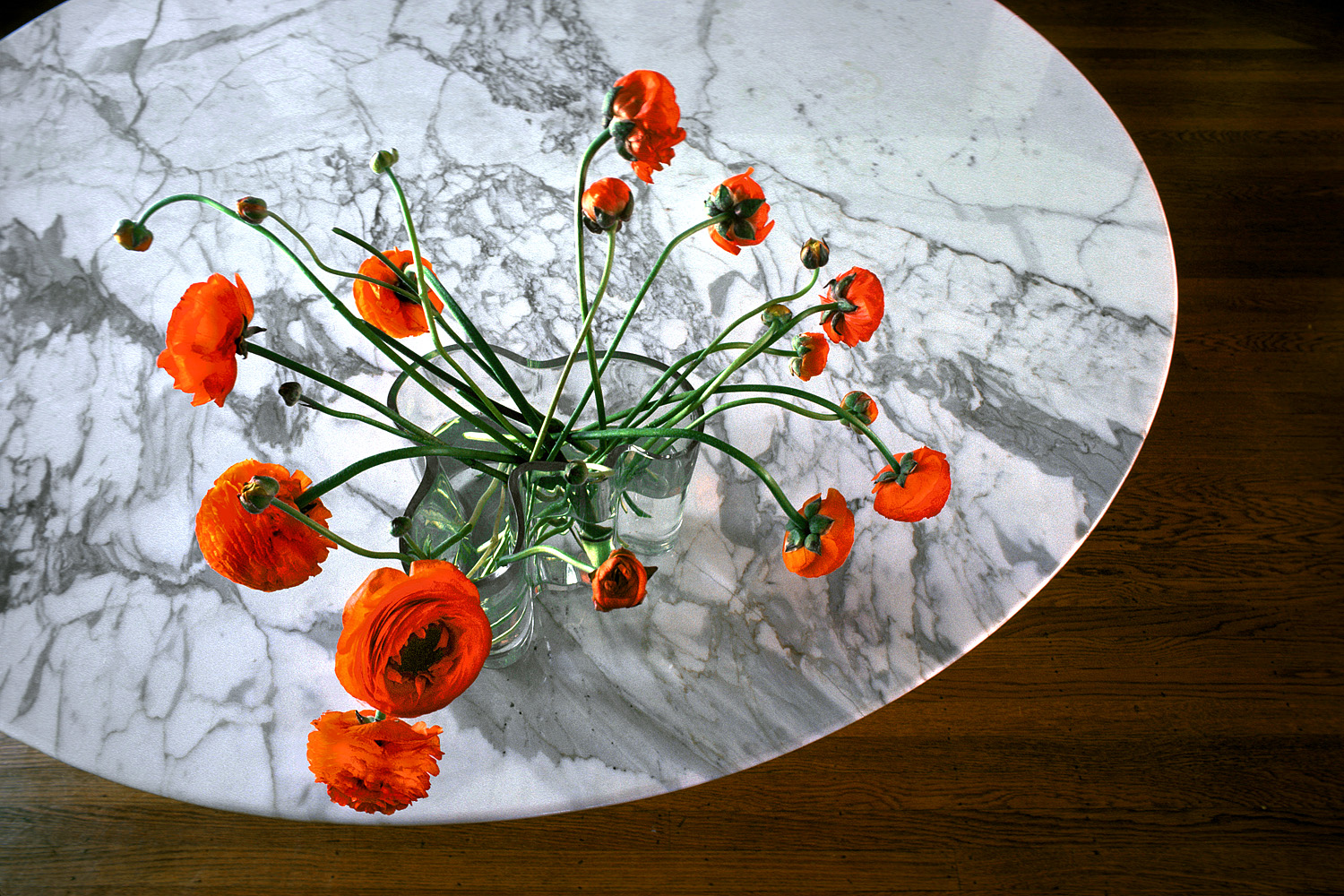 bill-hocker-ranunculus-on-marble-1975