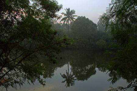 Farm Pond
Cuttack, India