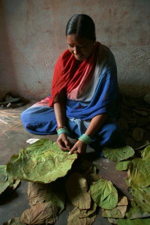 Leaf Plates
Tribal VillageOrissa, India
