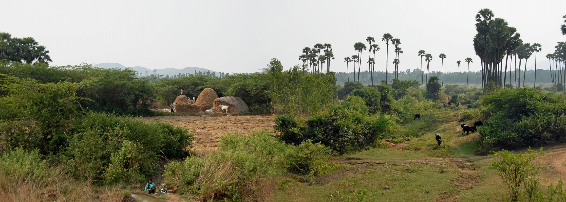 bill-hocker-panorama-from-the-train-andhra-pradesh-india-2007