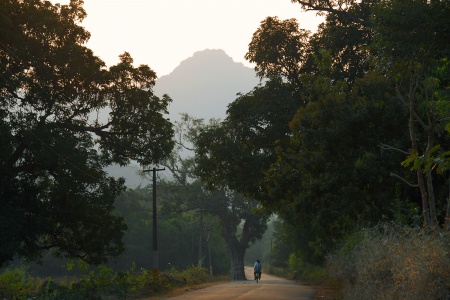 Rural RoadOrissa, India