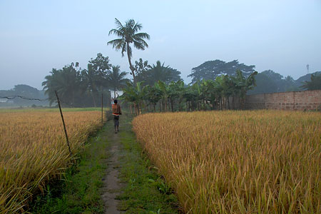 Farm
Cuttack, India