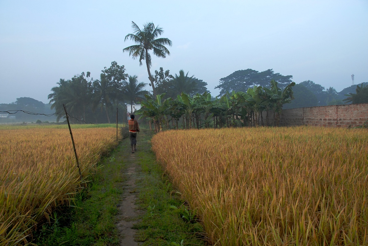 bill-hocker-farm-cuttack-india-2007