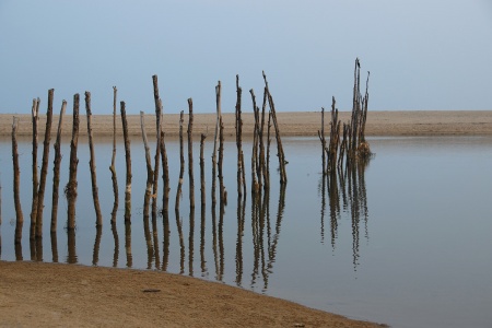 Net Supports in Lagoon
Puri, Orissa, India
