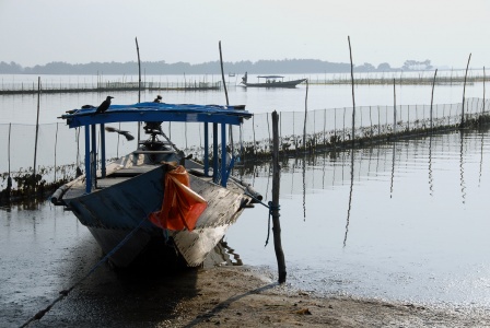 Tour Boat, Chilika LakeOrissa, India