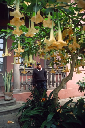 Datura
San Isidro 
Lima, Peru