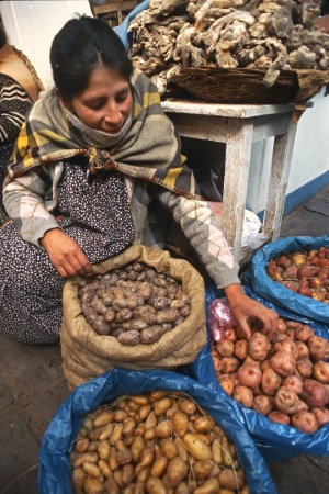 Potato Vendor
Cusco, Peru