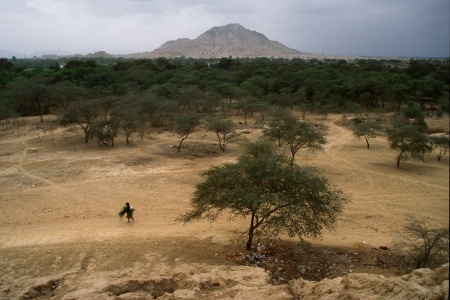 Landscape
TÃºcume, Peru